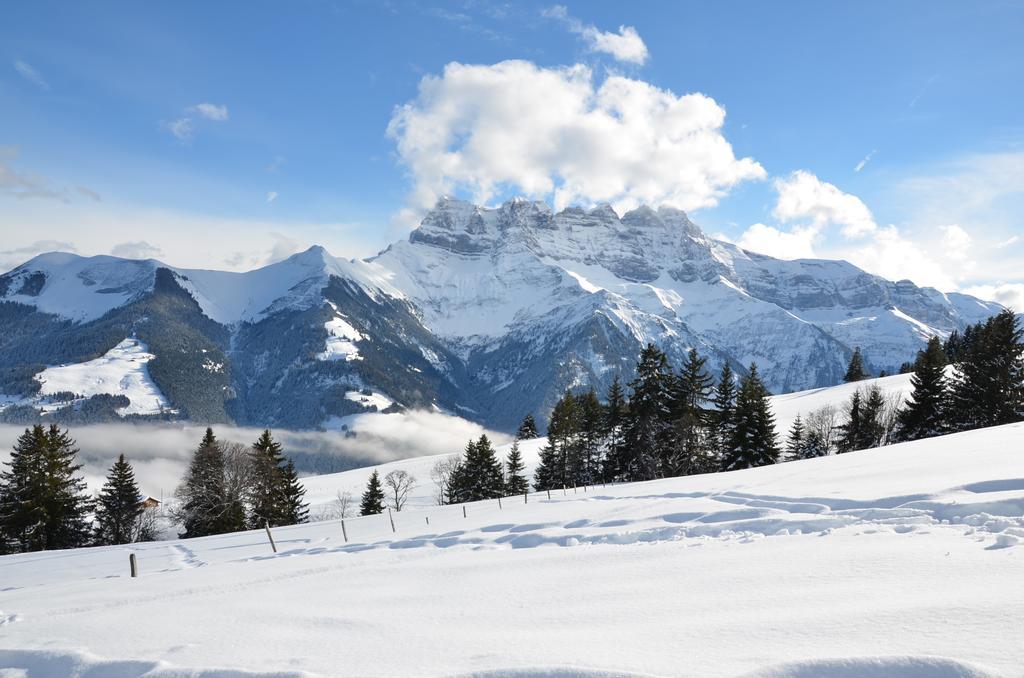 Le Chalet De L'Atelier - Le Nord Champéry Pokoj fotografie